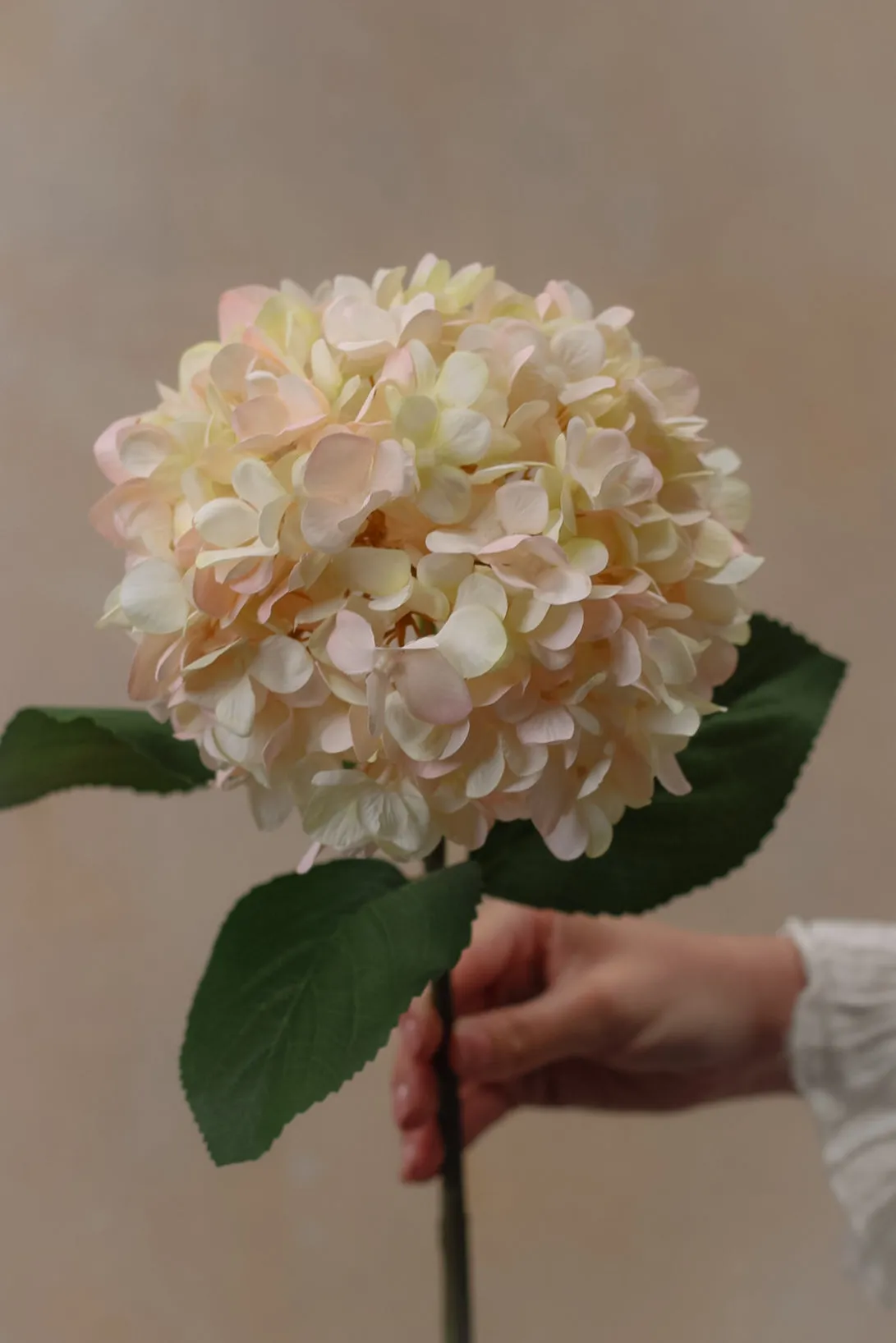 Faux Blush Pink and Warm White Hydrangea Stem