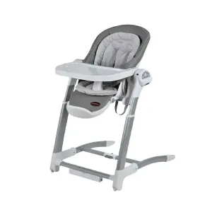 Royal 3in1 swing & highchair